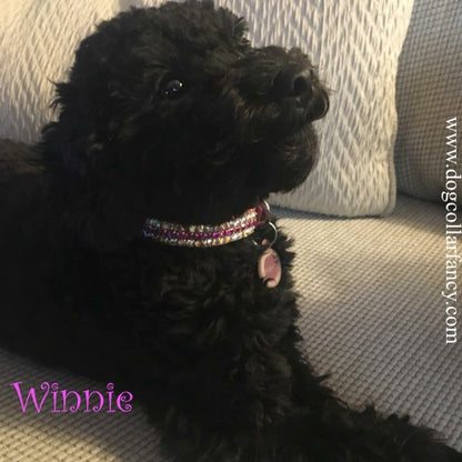 Kiss Me Pretty Crystal Pet Collar - For dogs and cats - dog-collar-fancy