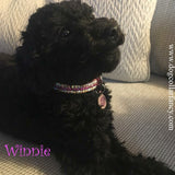 Kiss Me Pretty Crystal Pet Collar - For dogs and cats - dog-collar-fancy